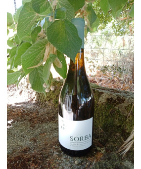Vin blanc Sorba