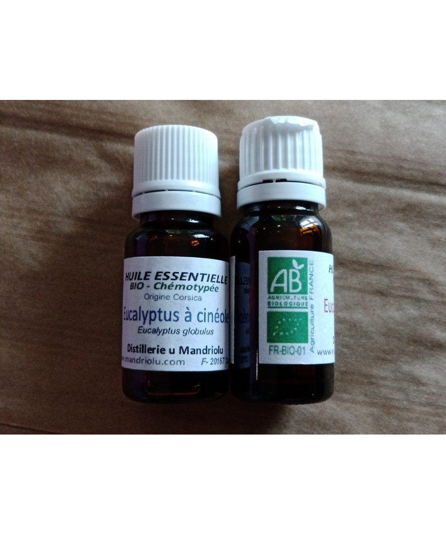 Huile essentielle eucalyptus à cinéole  10 ml